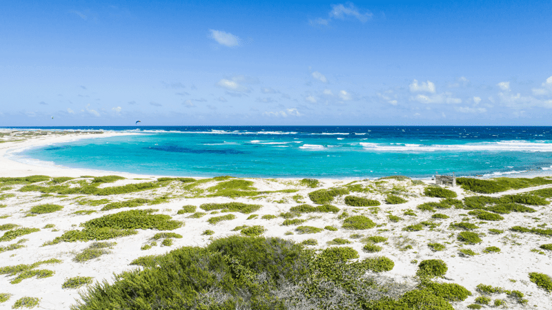 Boca Grandi, Aruba