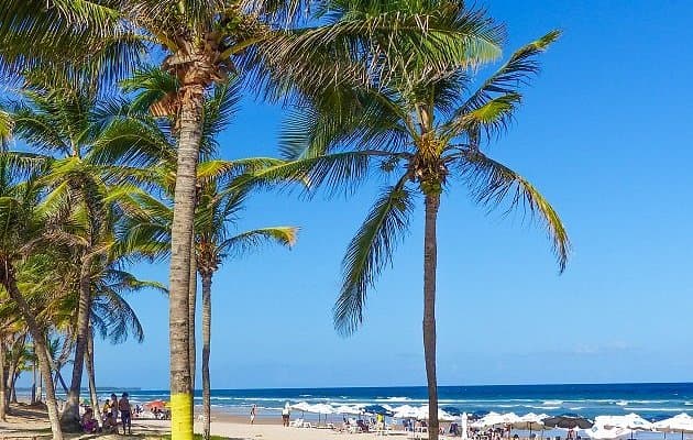 Stella Maris, Brazil